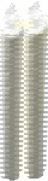 Plumbing Cartridge Filter: 2-1/2